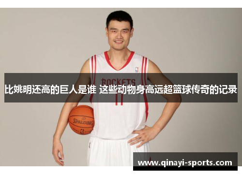 比姚明还高的巨人是谁 这些动物身高远超篮球传奇的记录
