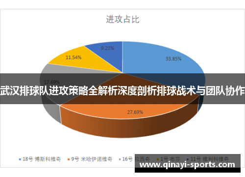 武汉排球队进攻策略全解析深度剖析排球战术与团队协作